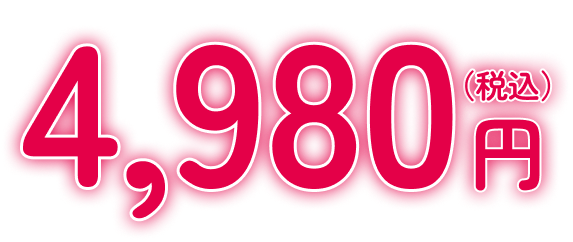 4980円(税込)