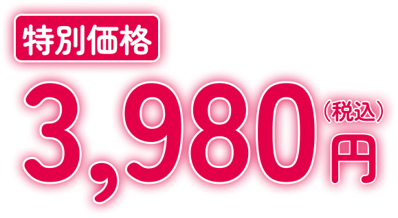 3980円(税込)